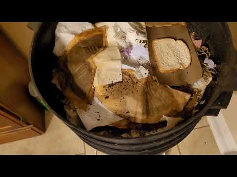 Red & White Mites in the Worm bin