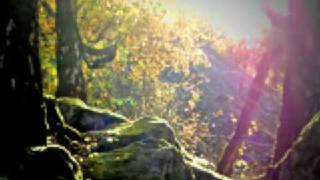 Shakatura - Lucid Dreaming