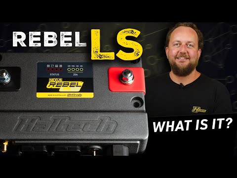 🔍What is it? Nexus Rebel LS | PRODUCT OVERVIEWS