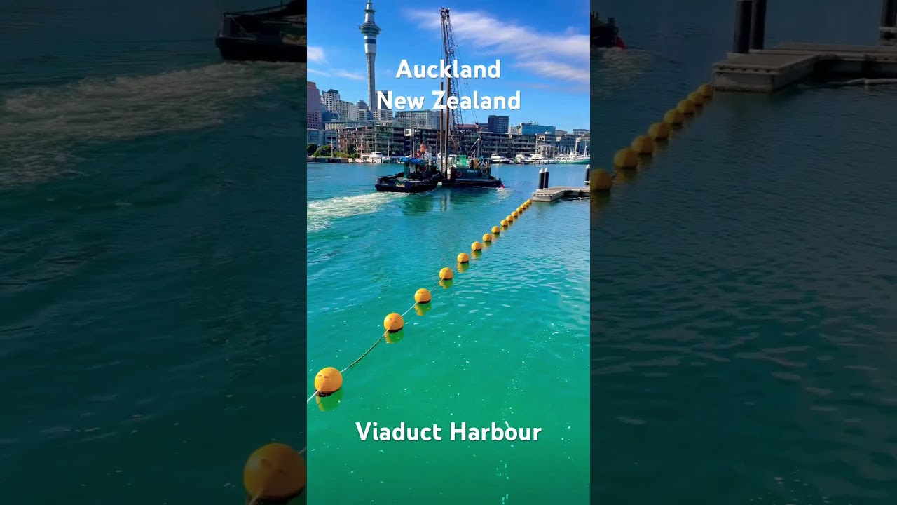 YouTube Short thumbnail