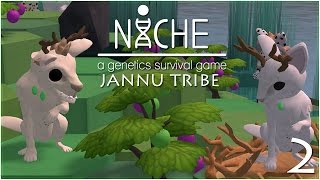 The Curious Deer Twins!! • Niche: Jannu Tribe - Episode #2