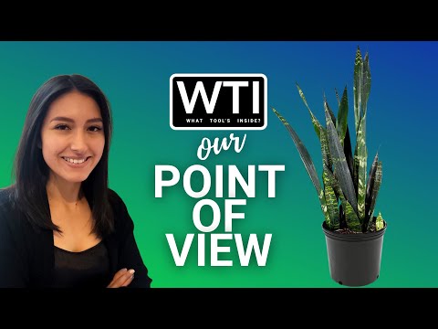 American Plant Exchange Live Plants - WTI product video review