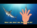Sea Animal Finger Family Nursery Rhyme Whale Orca Killer Whale Dolphin Octopus Daddy Finger
