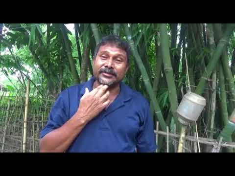 Former Prez Fakhruddin Ali Ahmed's kin excluded from NRC