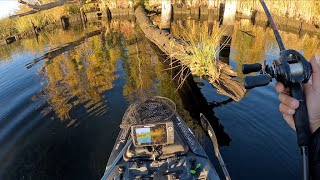 Winter Fishing on the California Delta (2024 edition)