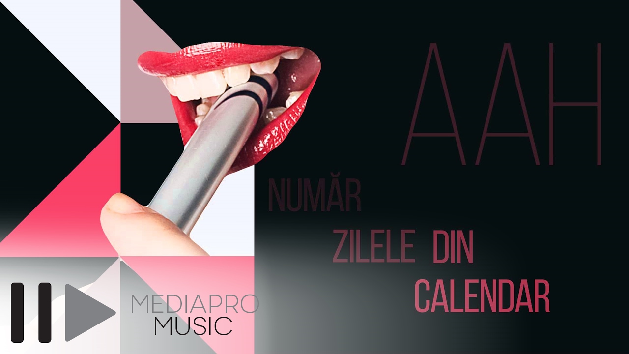 Maga & Tudoran - Doamna Diriginta (Lyric Video)