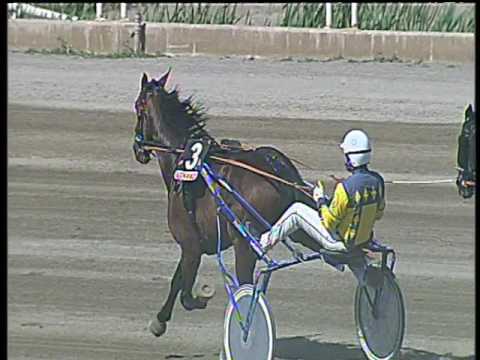 Trotto 07/05/2017 - 2ª corsa