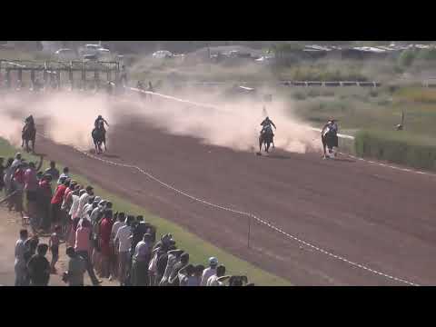 MIMOSA  Jockey Club Neuquén - Neuquén - 05-03-2023