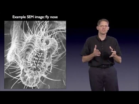 Part 3: Amplitude and Phase Contrast 2016 - G. Jensen