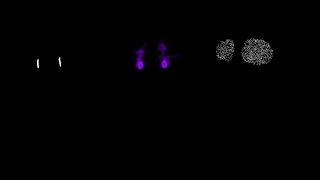 Cover art for Former Time Trio Phase 3 - An Practical Rampage