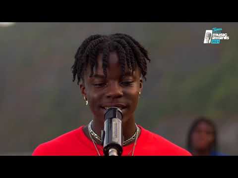 LAVIEN - Tribute to Quincy B (TLMA Performance - Cover/Mashup)