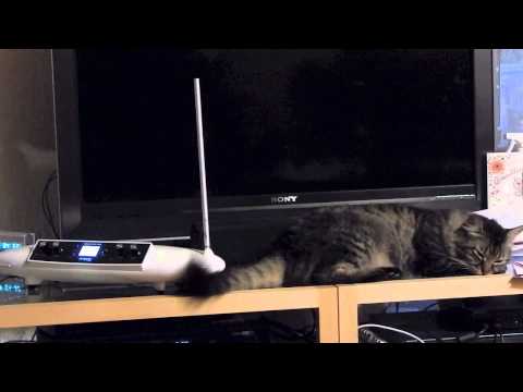 Tombo Unleashed - Theremin Extravaganza