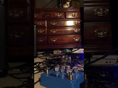 Pigdog SF-1 SupaFuzz, Empress Effects Echosystem. NOS Retubed Marshall jvm1c&tsl60 in stereo