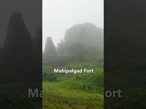 Forgotten Maratha Fort Hidden in Dense Forests of Chandgad | Mahipalgad Fort Kolhapur #shorts #reels