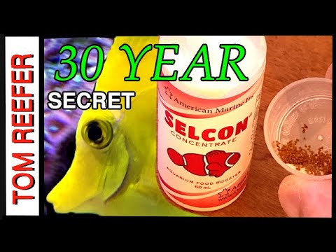 Selcon Concentrate Food Supplement (BEST KEPT SECRET) For 30 Years