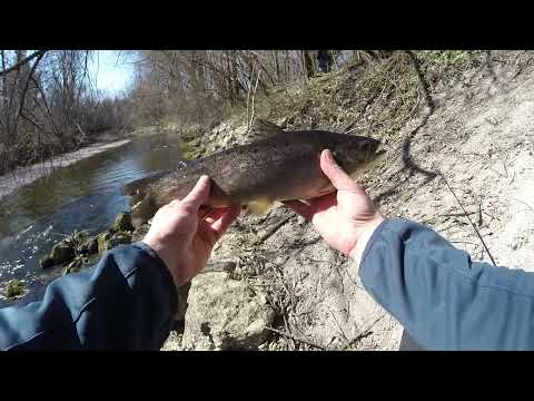 Spinnfischen an unserer Amper