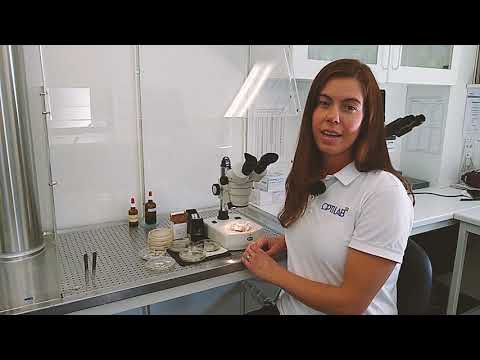 Håll koll på spannmålen - undvik lagringsskador