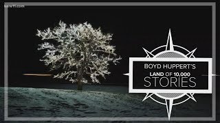 Land of 10,000 Stories:  Stunning tree of lights is gift to I-35 holiday travelers