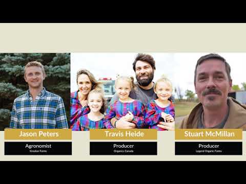 Episode 32: Jason Peter, Travis Heide and Stuart McMillan - YouTube