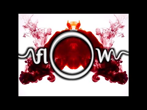 THE FLOW - EVERYDAY IS EXACTLY THE SAME - COVER NINE INCH NAILS