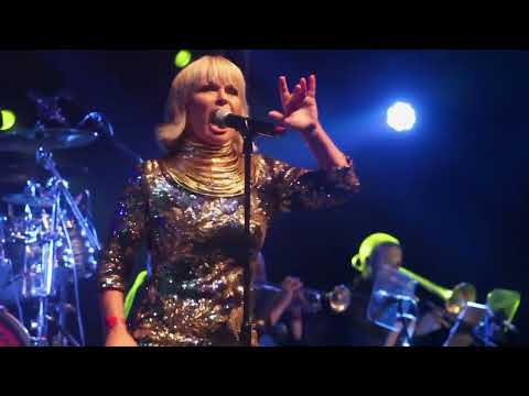 The SAS Band - Suffragette City