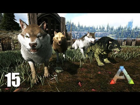 DOMANDO MUITOS ANIMAIS ( 4 Lobos - Dente de Sabre  - Daedon e  Ptero) - ARK VALGUERO