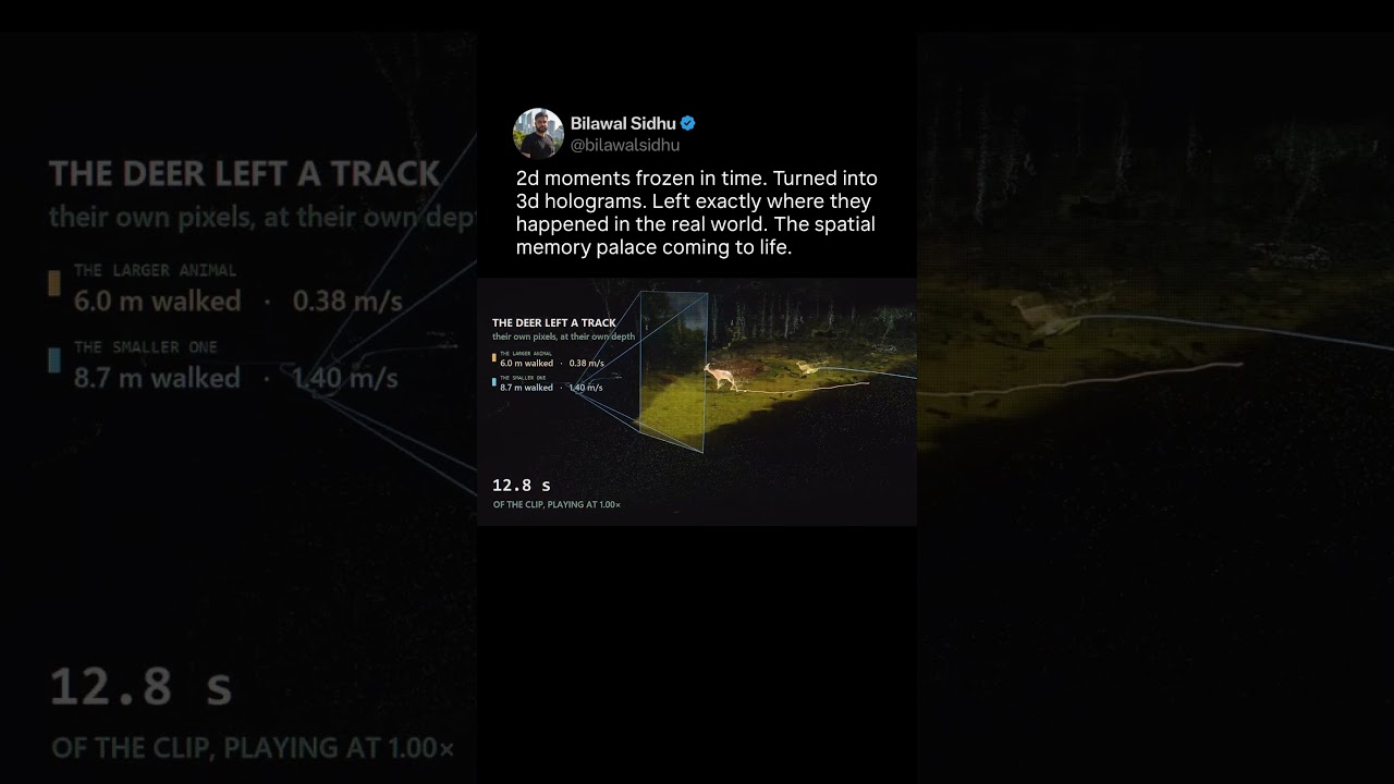 2d moments frozen in time. Turned into 3d holograms. Left exactly where they happened IRL.