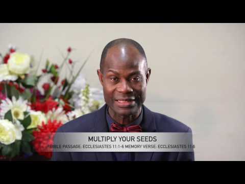 Open Heavens Reflections 07 March 2017 - Multiply Your Seeds