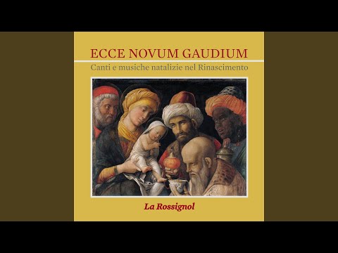 Ecce Novum Gaudium