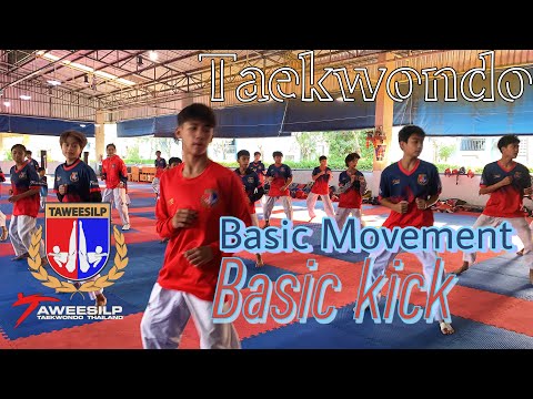 Taekwondo,Basic Movement,Basic Kick