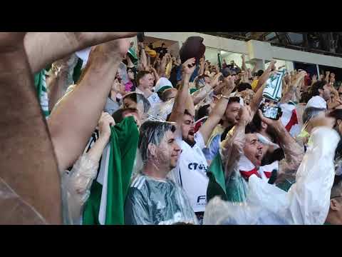 Paraná 1x1 Palmeiras - Gol de Gustavo Scarpa