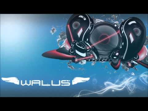 Bingo Players vs Quintino - Epic Rattle (Walus Mash-up) PROMO