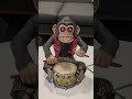 THE MONKEY is real - IGN THE MONKEY is real