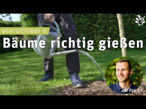 Bäume richtig gießen! - NATUR VERSTEHEN mit Patrick