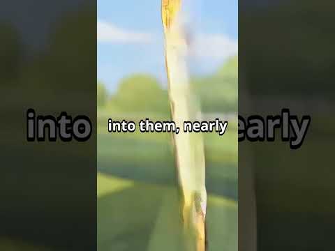 YouTube Short thumbnail
