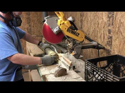 download lagu mp3 mp4 Bulk Wood Slices, download lagu Bulk Wood Slices gratis, unduh video klip Bulk Wood Slices