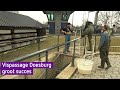 Tellen en opmeten: werkt de vispassage bij Doesburg ook echt?