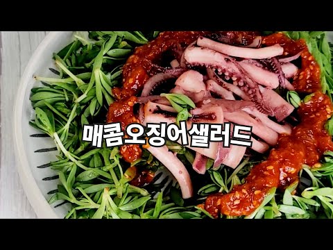 돌나물 이렇게 먹으니 한접시 뚝딱이네요. 매콤오징어샐러드