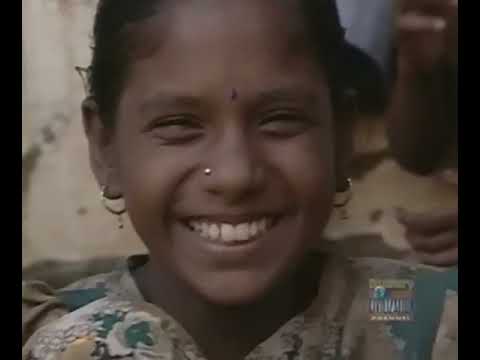 Ray Mears' World Of Survival S02E04   The Coromandel Coast