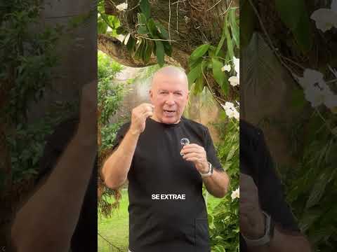 video gmflApeKCN8