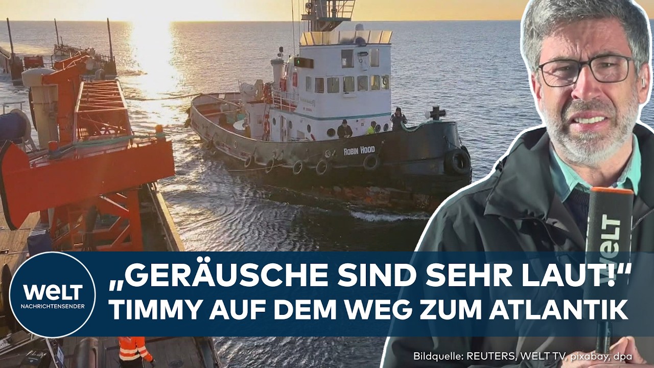 MISSION ATLANTIK: "Veterinäre sind mit auf der Barge!" Wal-Rettung nimmt Fahrt auf | Buckelwal Timmy