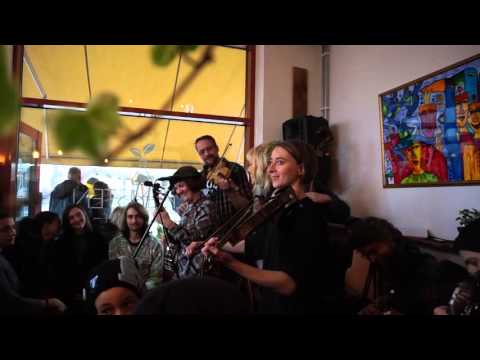 Friendly Neighbourhood Stringband