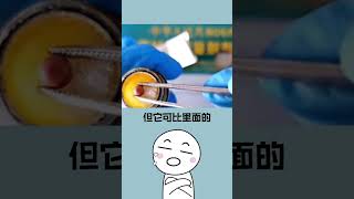 #冷知識 揭開祕密：每瓶云南白藥內竟藏有神秘藥丸！#shorts #short