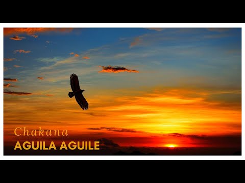 Chakana - AGUILA AGUILE