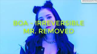 [MR. REMOVED] 홧김에 (Irreversible) - 보아 (BoA)