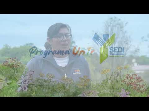 Bety Mendoza - Cooperativa Colonia Delicia 🐝