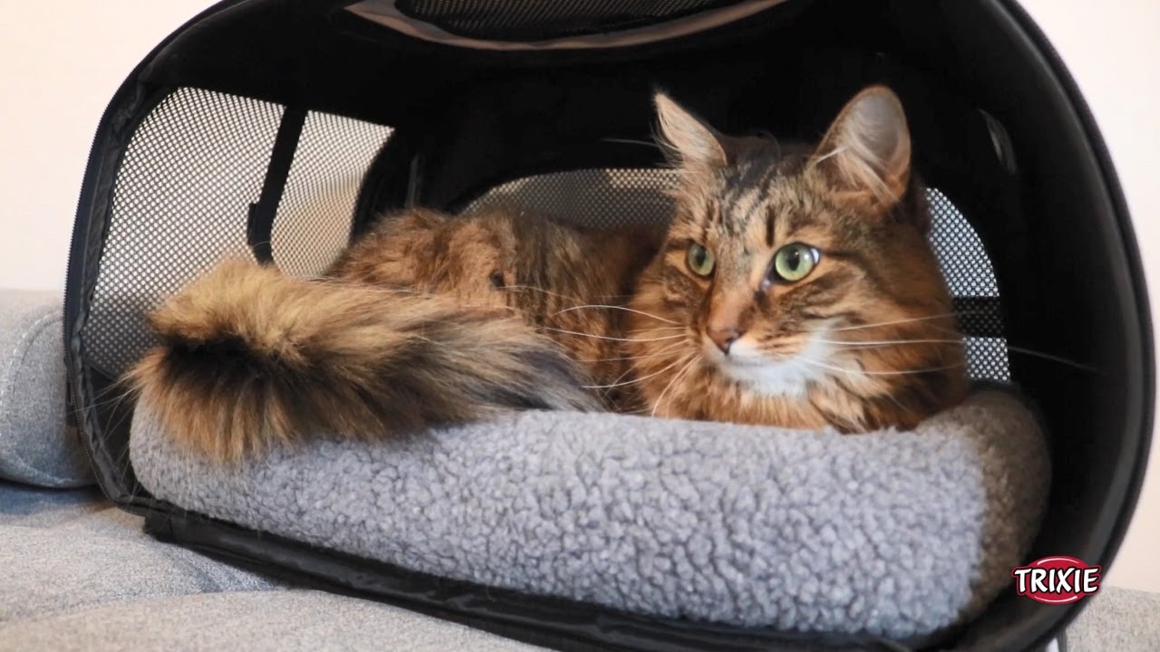 Trixie Tiertransport-Tasche Valery, 29 × 31 × 49 cm