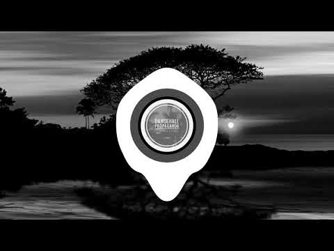 B'Bros x Driimeek - Shatta Ting Moombahsive 2k17 💯