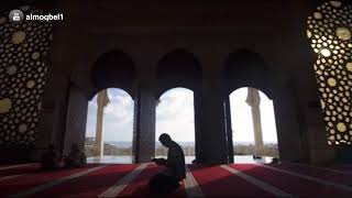 صورة منارات في طريق التدبر/المنارة الرابعة/أ.د. عمر المقبل