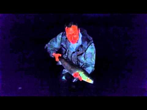 Aleksandar Sale Drakulic-Pecanje Mladice 04